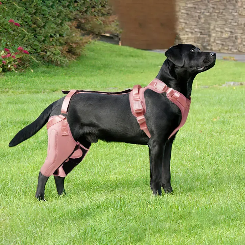 Dog Rear Leg Brace Torn ACL Injury Support For Hind Leg Pink