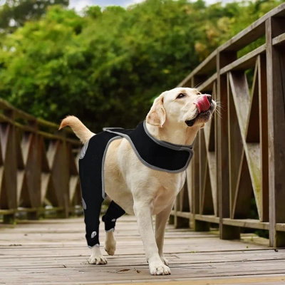 Dog Recovery Lick Sleeves For Dog Rear Left Leg 02