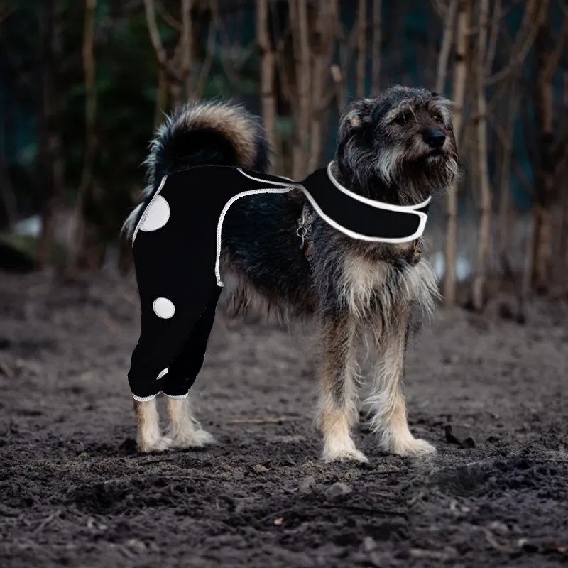 Dog Recovery Lick Sleeves For Dog Rear Left Leg