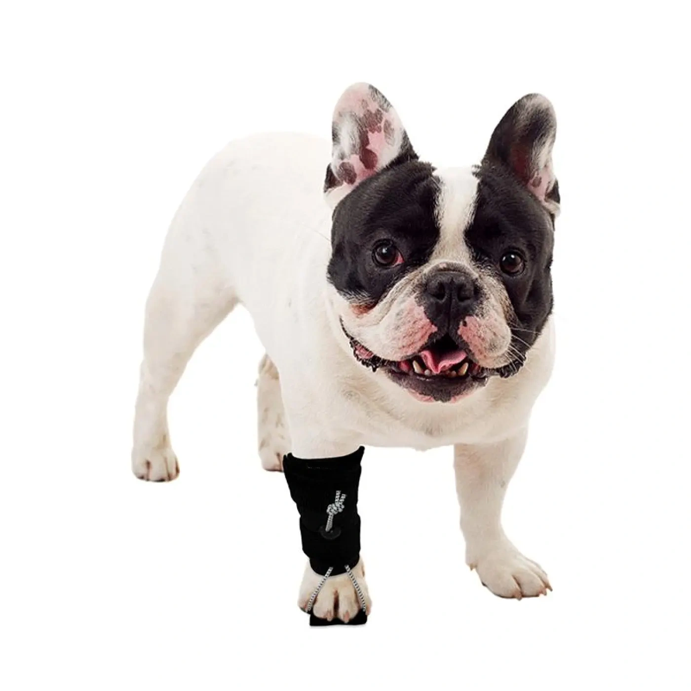 Dog Wrist Support For Sprain Arthritis
