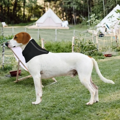 Neck Brace For Dogs After Surgery IVDD Neck Stabilizer 02