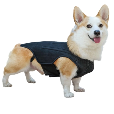 Therapy Dog Vest Support Walking Training 02