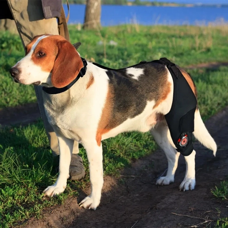 Personalized dog leg brace for torn acl 
