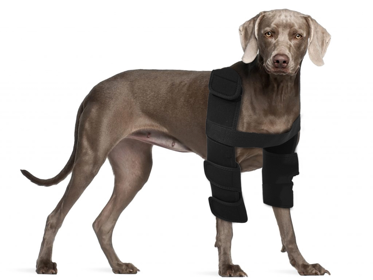 Personalized dog elbow protector