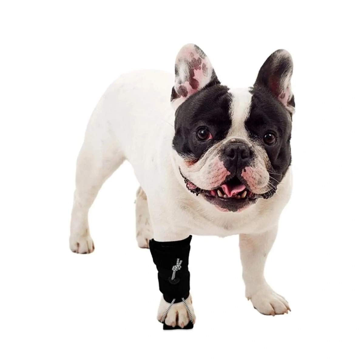 Custom carpal hyperextension dog brace
