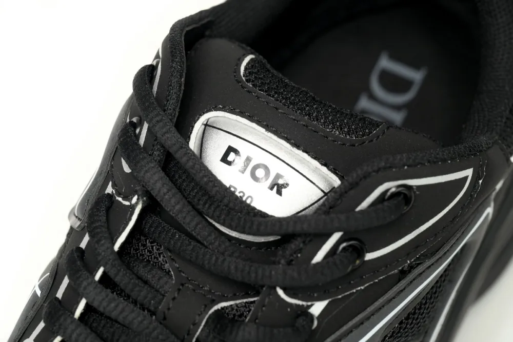 Fake B30 Dior New Reflective