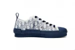 Reps Dior B23 Low Top Blue Oblique