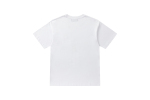 Amiri T-Shirt 7117