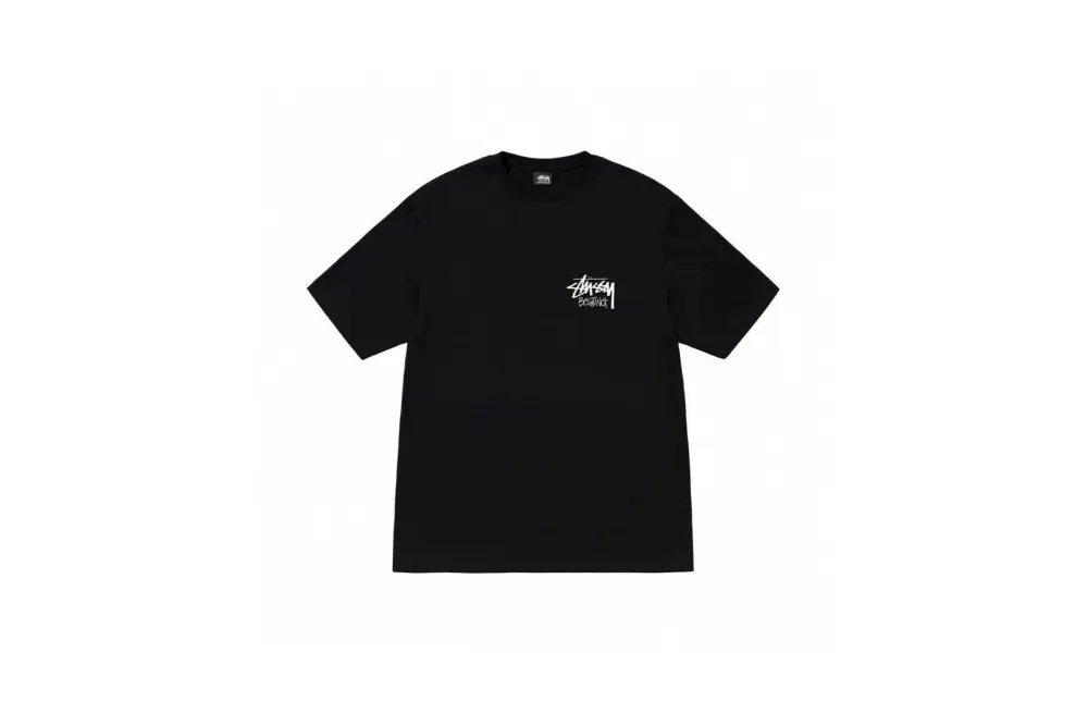 Stussy T-Shirt XB989