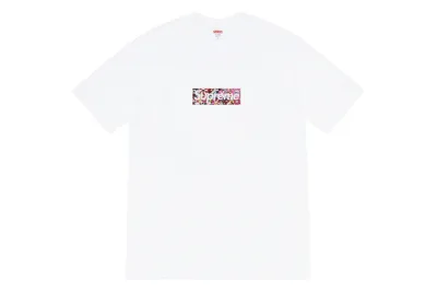 Supreme B261 01