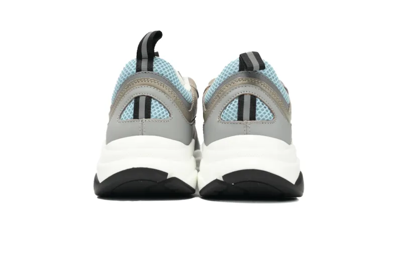Reps Dior B22 White Blue