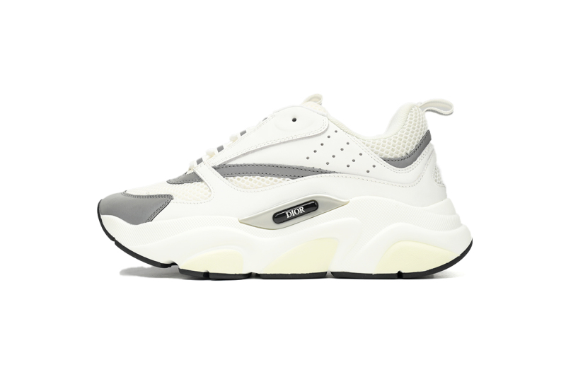 Fake Dior B22 White Grey