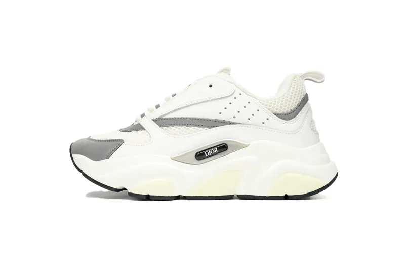 Fake Dior B22 White Grey