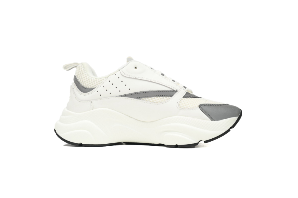 Reps Dior B22 White Grey