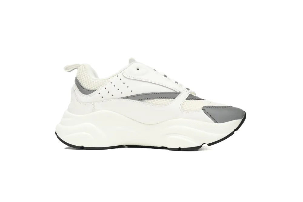 Reps Dior B22 White Grey