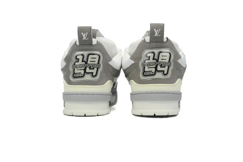 Louis Vuitton LV Skate Sneaker White Grey 1ACQP4