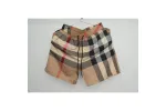 Burberry Beach Shorts Brown/Blue RSOUTFIT