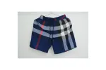 Burberry Beach Shorts Brown/Blue RSOUTFIT