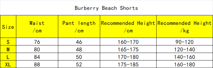 Burberry Beach Shorts Brown/Blue RSOUTFIT