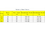 Burberry Beach Shorts Brown/Blue RSOUTFIT