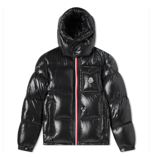 Moncler Montbeliard Down Jacket