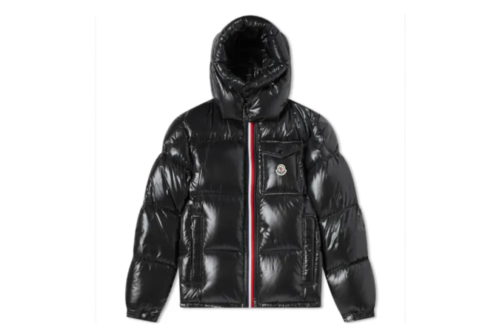 Moncler Montbeliard Down Jacket