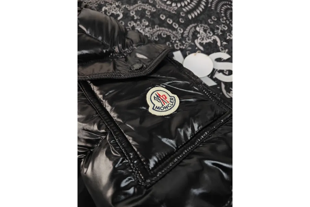 Moncler Montbeliard Down Jacket