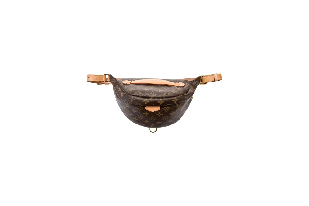 Louis Vuitton LV Monogram Bumbag