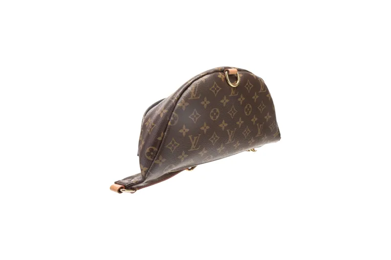 Louis Vuitton LV Monogram Bumbag