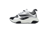 Dior B22 Silver Black 3SN231YIY_H169