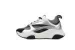 Dior B22 Silver Black 3SN231YIY_H169