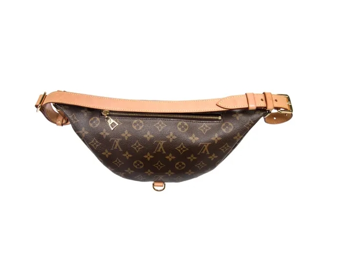 Louis Vuitton LV Monogram Bumbag