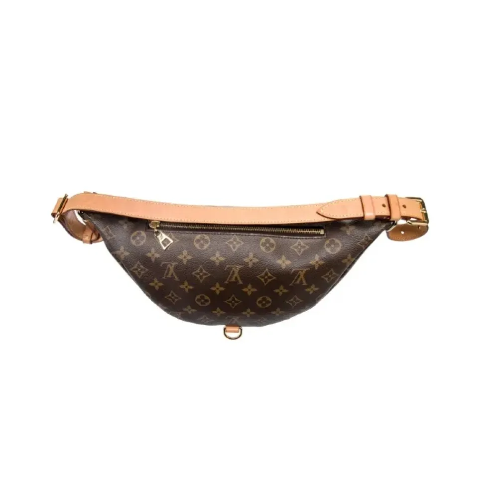 Louis Vuitton LV Monogram Bumbag
