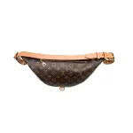 Louis Vuitton LV Monogram Bumbag