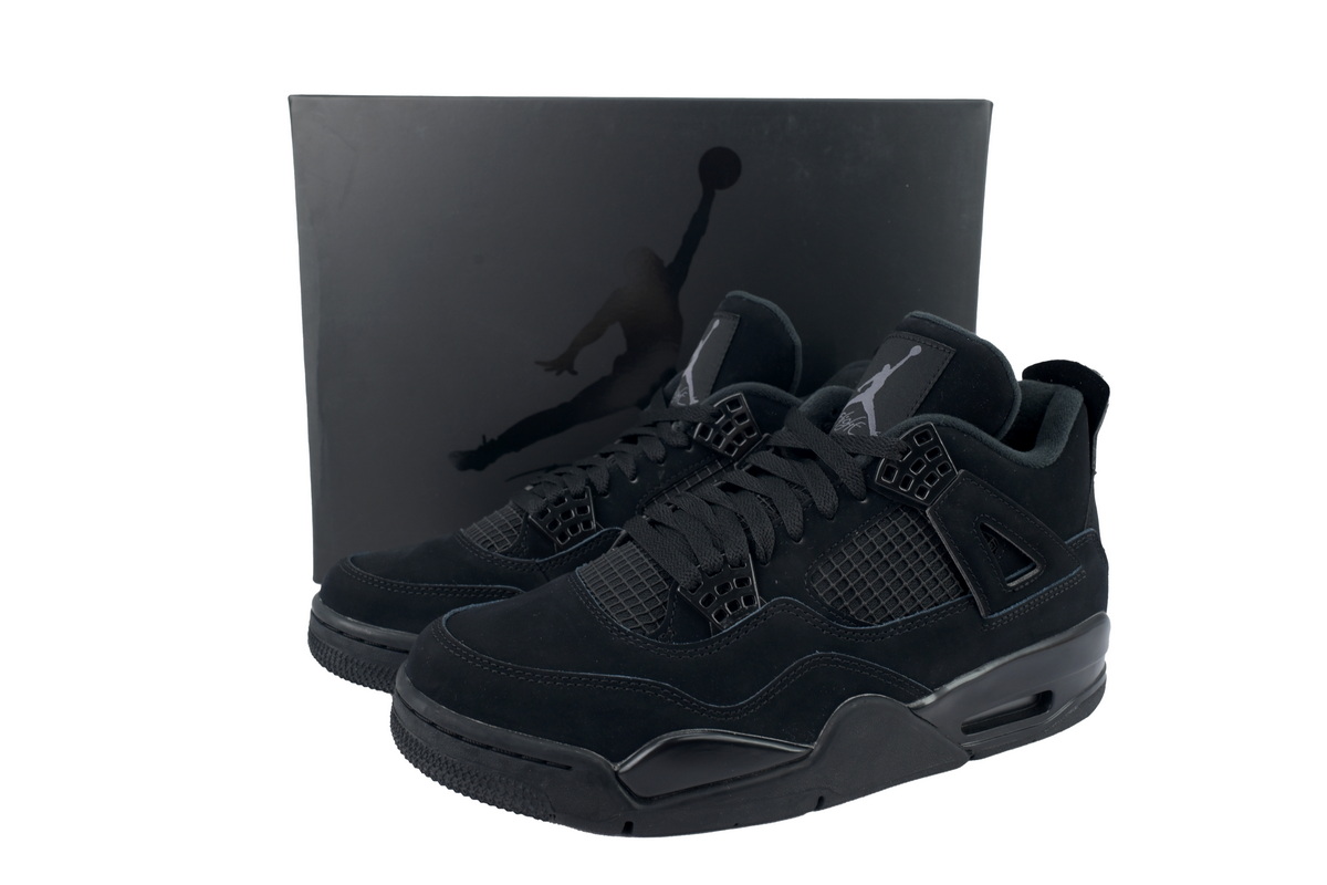 fake black cat 4s