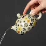 Hand-Painted Teapot Teapot High-End Single Pot Kung Fu Tea Set 11
