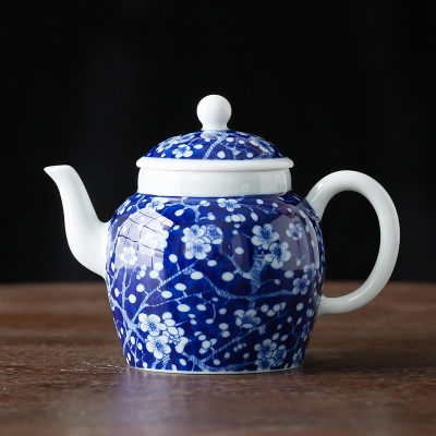 Hand-Painted Teapot Teapot High-End Single Pot Kung Fu Tea Set 9 01