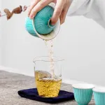 Travel Tea Set Outdoor Ceramic Teapot Teacup Gift Souvenir 11
