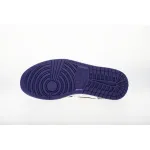 LJR Batch Air Jordan 1 Retro High Court Purple 555088-501