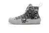 PK God Batch Dior B23 Oblique Low Top Sneakers