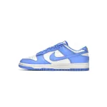 LJR Batch Nike Dunk Low Coast (W) DD1503-100