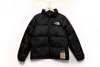 The North Face All Black Down Jacket