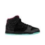 LJR Batch Nike SB Dunk High Premier Northern Lights 313171-063
