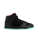 LJR Batch Nike SB Dunk High Premier Northern Lights 313171-063