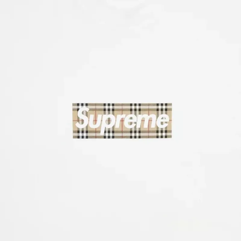 S*p*e b**rry box logo tee white