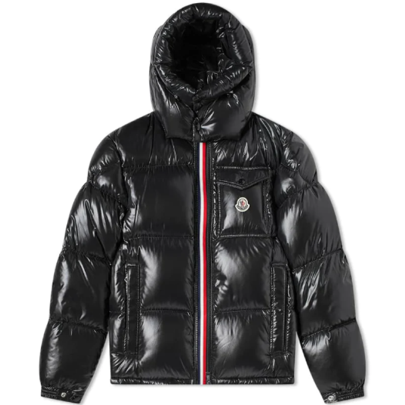 MONCLER Montbeliard Down Jacket (NFC)