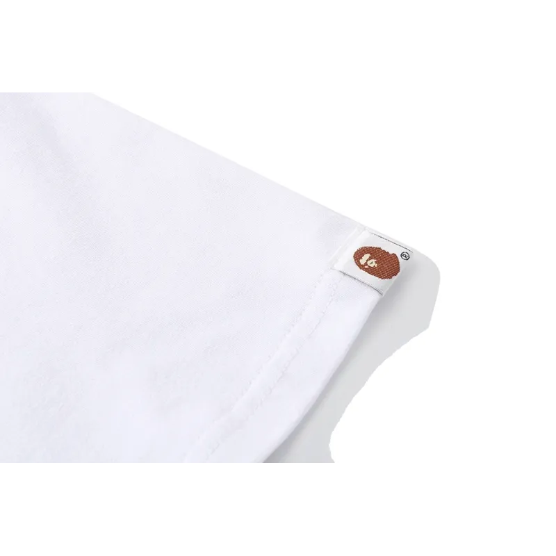 bape-1872-0304