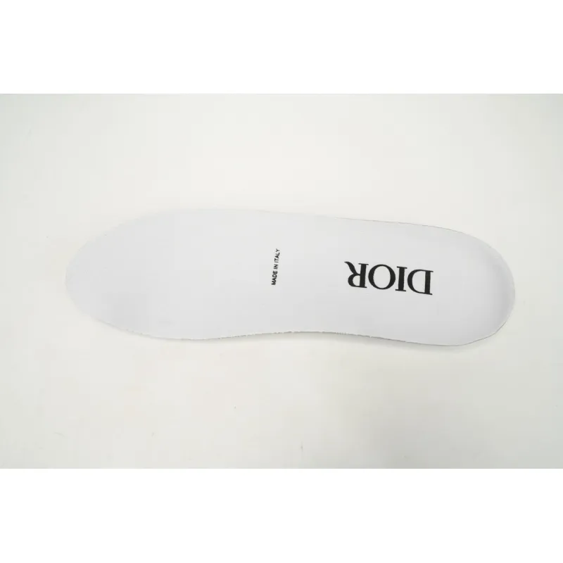 PK God Batch Dior B22 White Silver 3SN231YJG_H000
