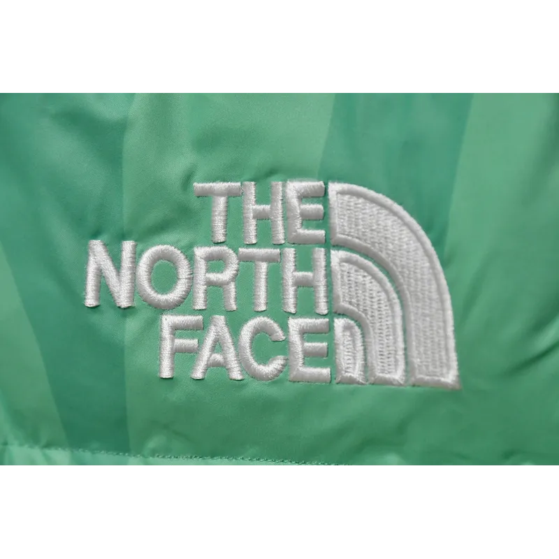 the n0*h F**e green camou flage