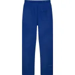 Hellstar No Guts No Glory Sweatpants Blue